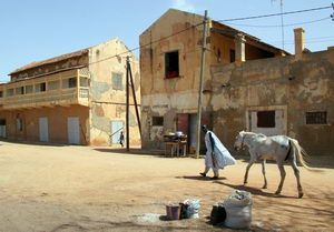 Circuit au Sénégal