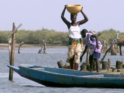 Circuit au Sénégal : au cœur des bolongs