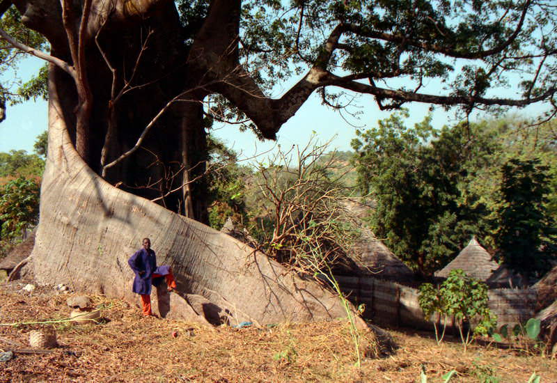 senegal_16