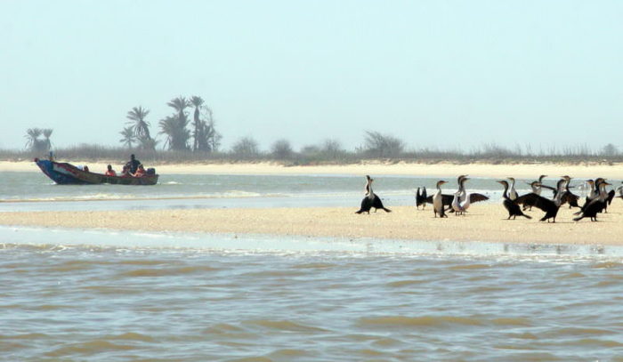 senegal_24