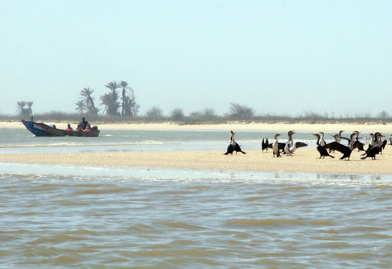 senegal_24