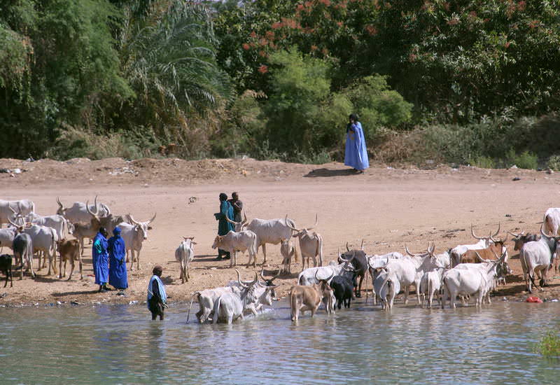 senegal_29