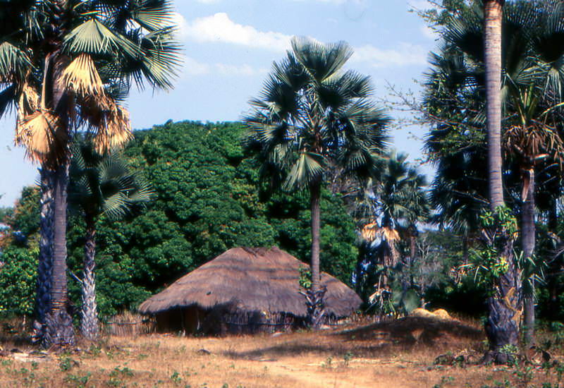 senegal_31