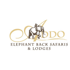 Addo Elephant Safari Lodge, Eastern Cape