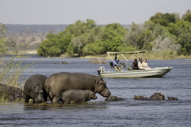 rivière de lokavango botswana