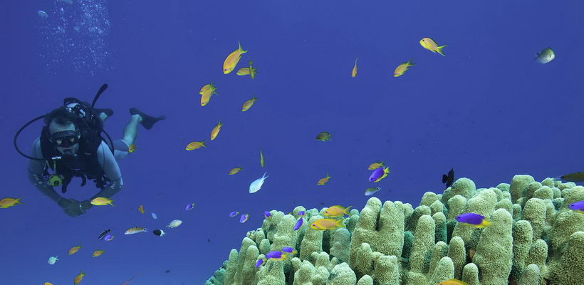 north-island-14