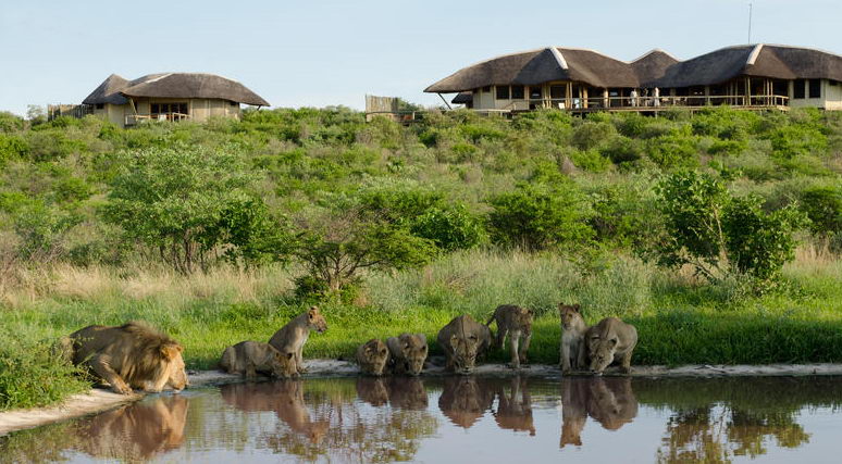 Kwando Tau Pan Camp