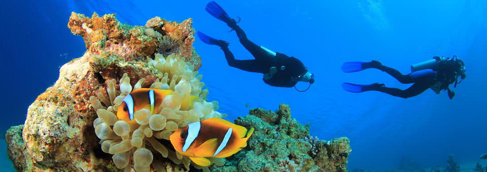 Plongée sous-marine au Mozambique