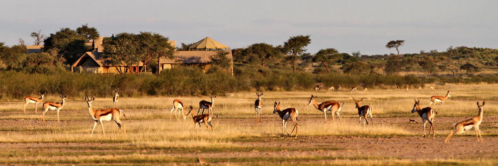 Kalahari Tented Camp, Namibie