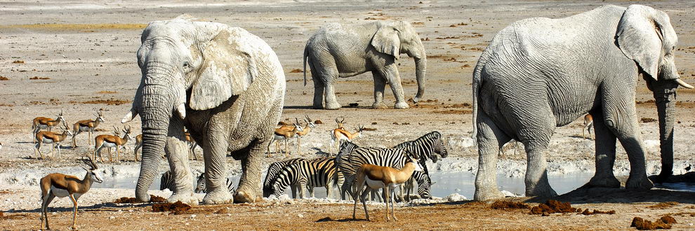 Circuit en Namibie "Evasion"