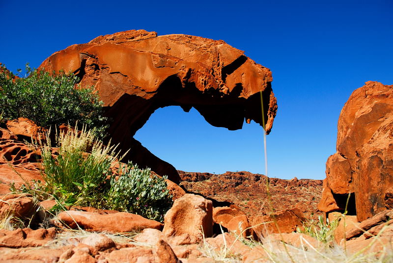 safari-namibie-moringa__03