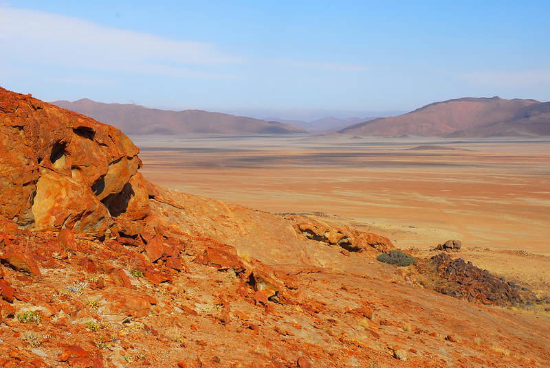 safari-namibie-moringa__09