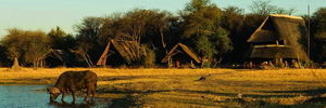 The Hide Safari Camp, Hwange Park, Zimbabwe