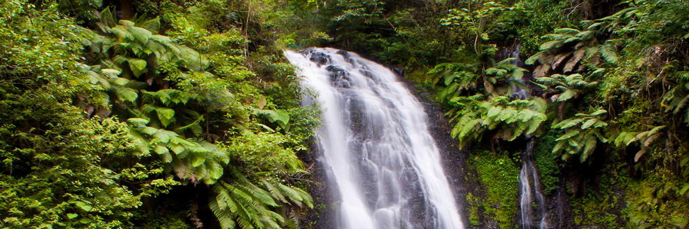 Parc National de Montagne d'Ambre, Madagascar