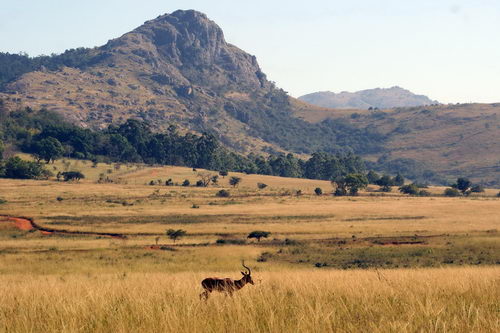 Swaziland