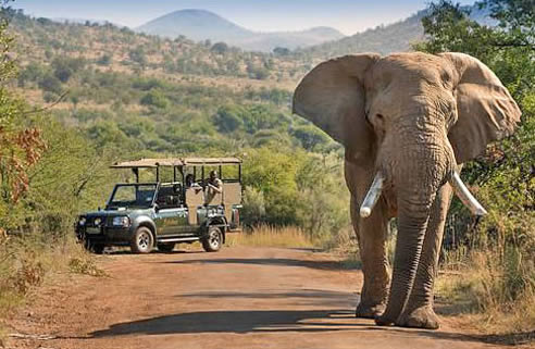 Circuit : Le Meilleur de l'Afrique du Sud