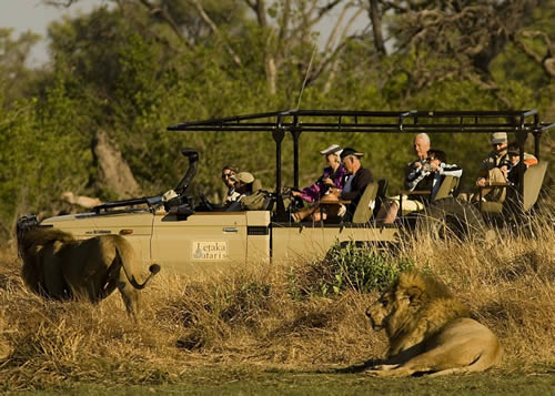 Circuit au Botswana : Okavango et Kalahari