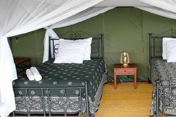 Ngorongoro Forest Tented Lodge (http://www.ngorongoroforestlodge.com)