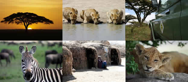 Safari en Tanzanie - Hakuna Matata - 10 jours