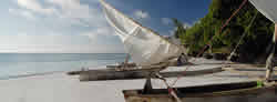 Voyages de noce au Mozambique