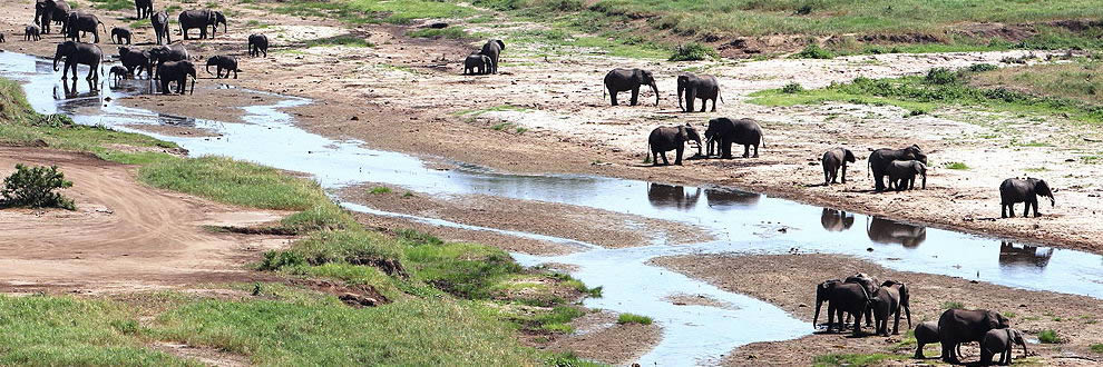 Safari en Tanzanie - Esprit