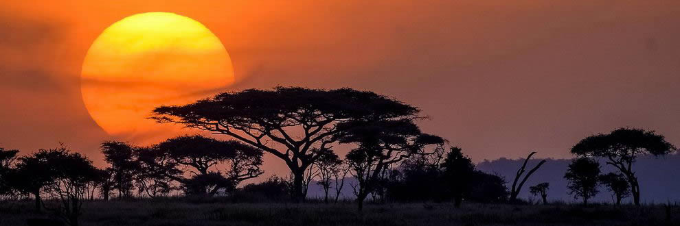 Safari en Tanzanie - Esprit
